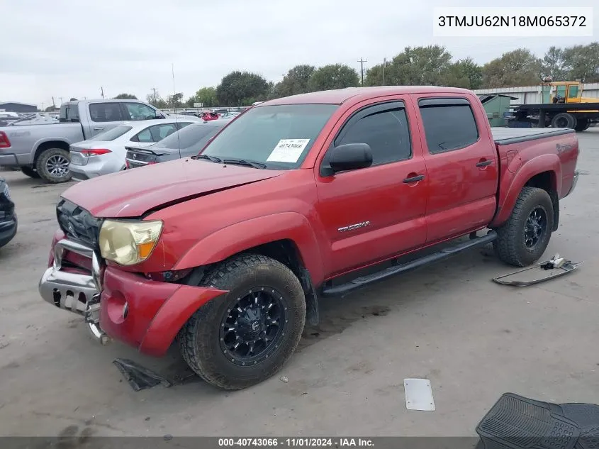 2008 Toyota Tacoma Prerunner V6 VIN: 3TMJU62N18M065372 Lot: 40743066