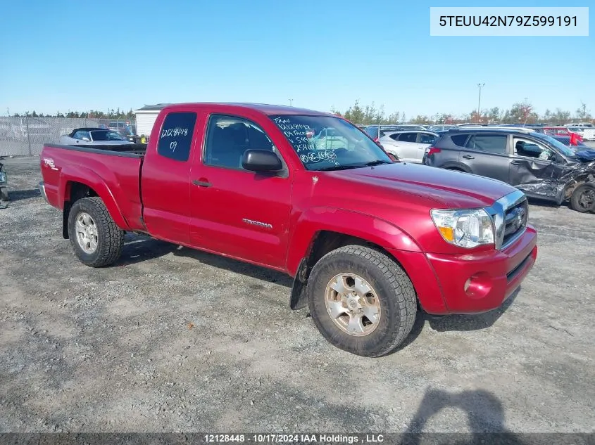 2009 Toyota Tacoma Access Cab VIN: 5TEUU42N79Z599191 Lot: 12128448