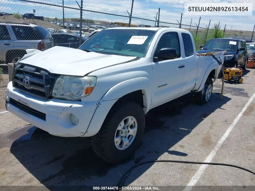 2009 Toyota Tacoma Access Cab VIN: 5TEUU42N89Z613454 Lot: 39744478