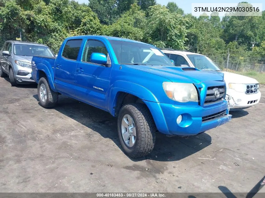 3TMLU42N29M030516 2009 Toyota Tacoma Base V6