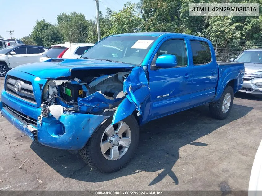 3TMLU42N29M030516 2009 Toyota Tacoma Base V6