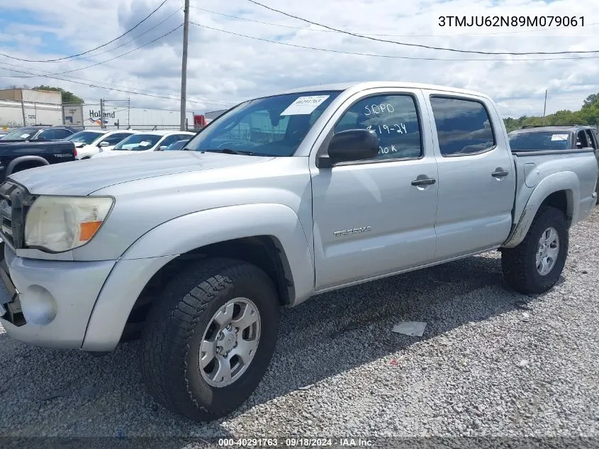 2009 Toyota Tacoma Prerunner V6 VIN: 3TMJU62N89M079061 Lot: 40291763