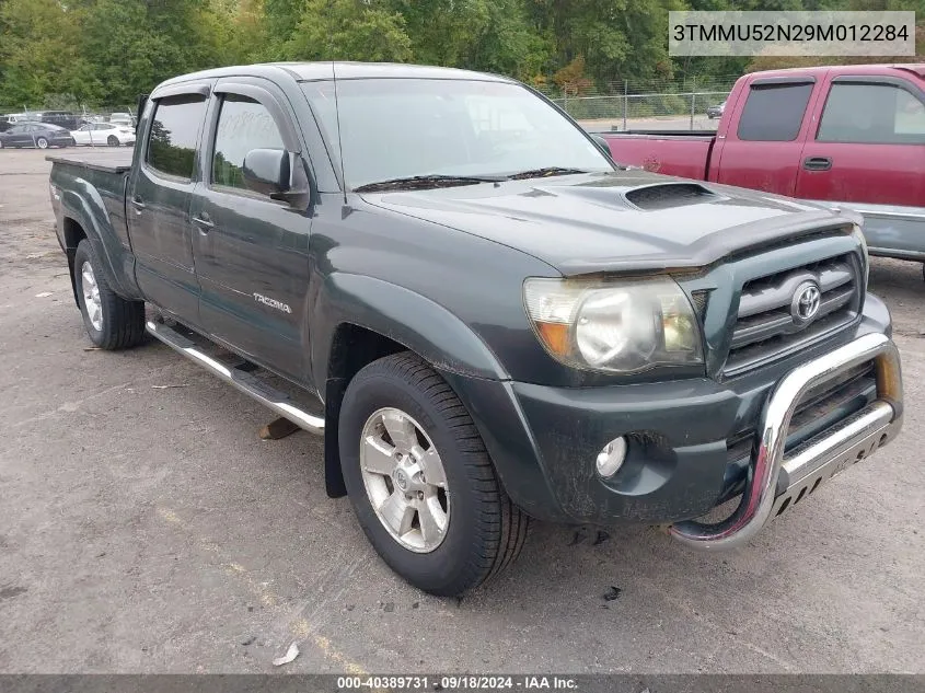 2009 Toyota Tacoma Base V6 VIN: 3TMMU52N29M012284 Lot: 40780083