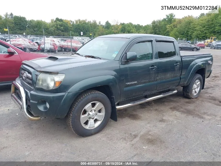 2009 Toyota Tacoma Base V6 VIN: 3TMMU52N29M012284 Lot: 40780083