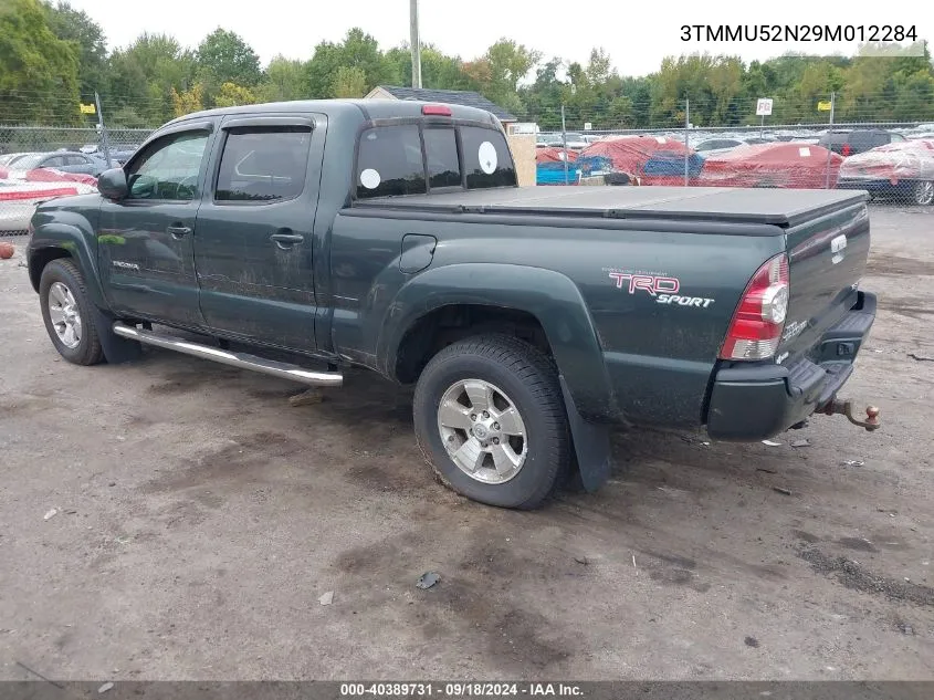 2009 Toyota Tacoma Base V6 VIN: 3TMMU52N29M012284 Lot: 40780083