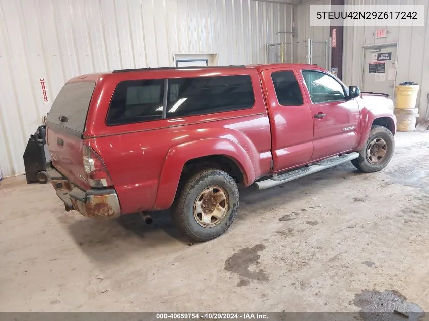 2009 Toyota Tacoma Base V6 VIN: 5TEUU42N29Z617242 Lot: 40659754