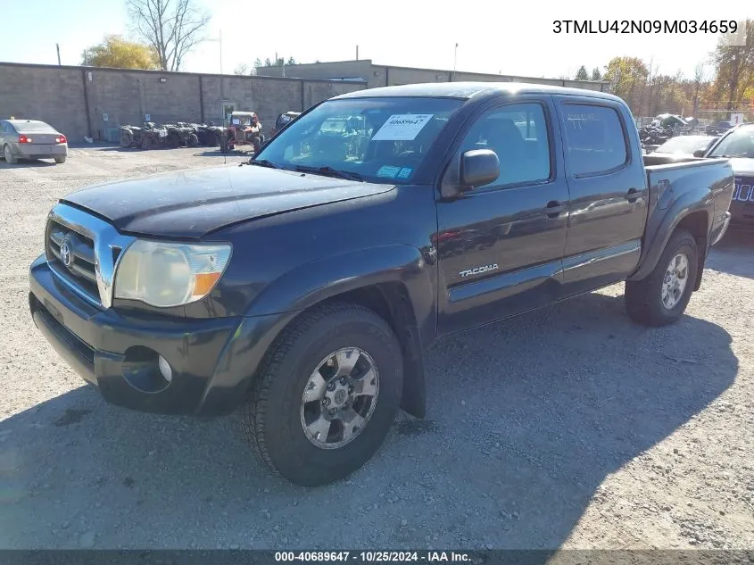 2009 Toyota Tacoma Base V6 VIN: 3TMLU42N09M034659 Lot: 40689647