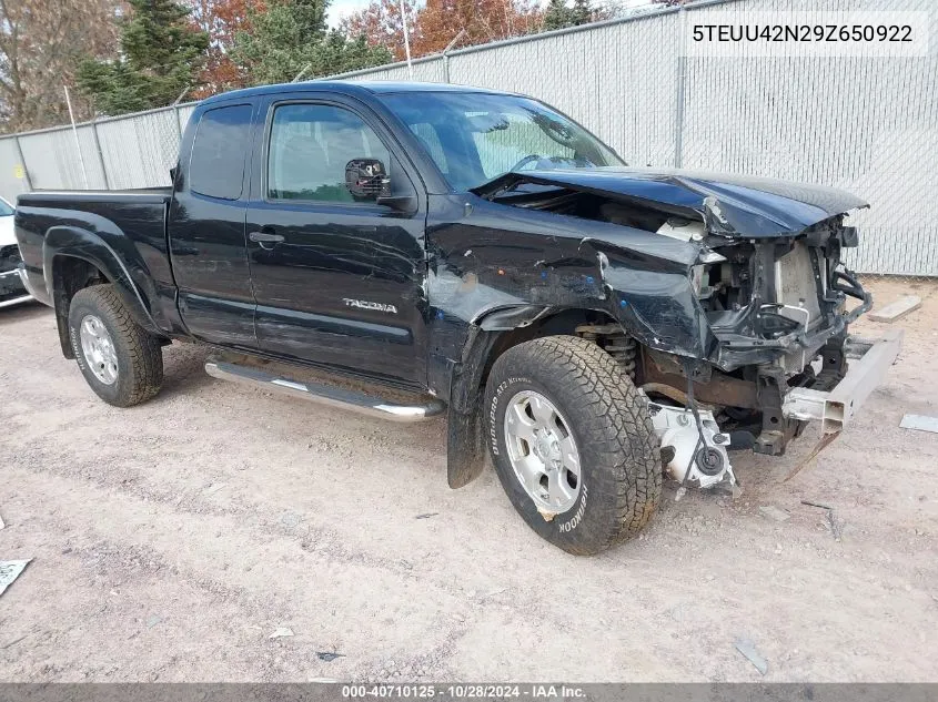 2009 Toyota Tacoma Base V6 VIN: 5TEUU42N29Z650922 Lot: 40710125