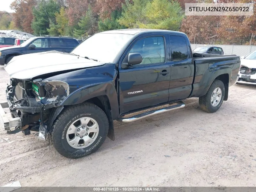 2009 Toyota Tacoma Base V6 VIN: 5TEUU42N29Z650922 Lot: 40710125