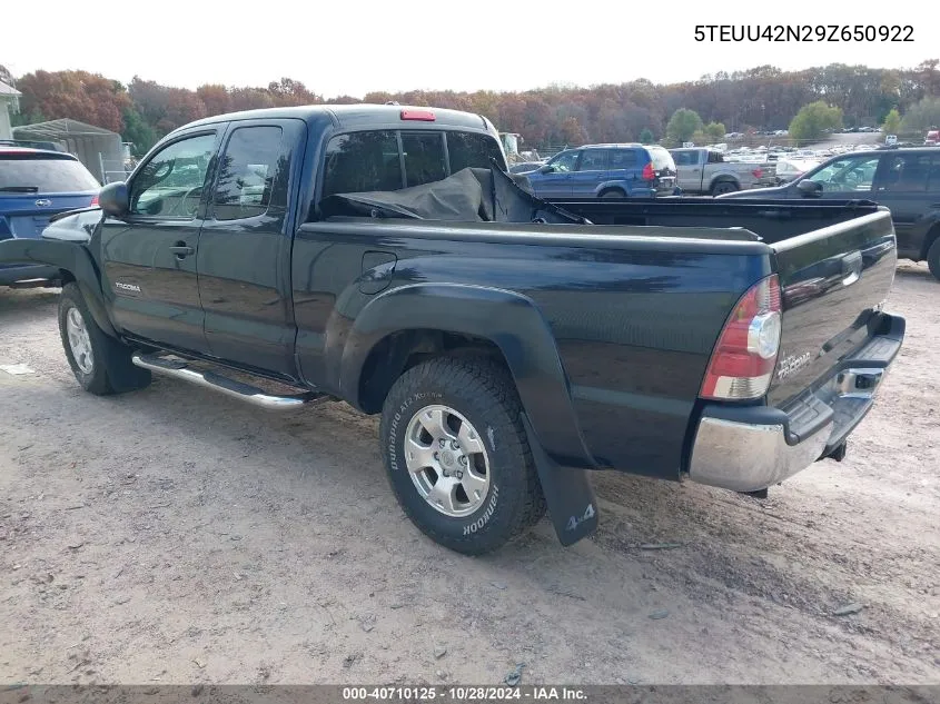 5TEUU42N29Z650922 2009 Toyota Tacoma Base V6