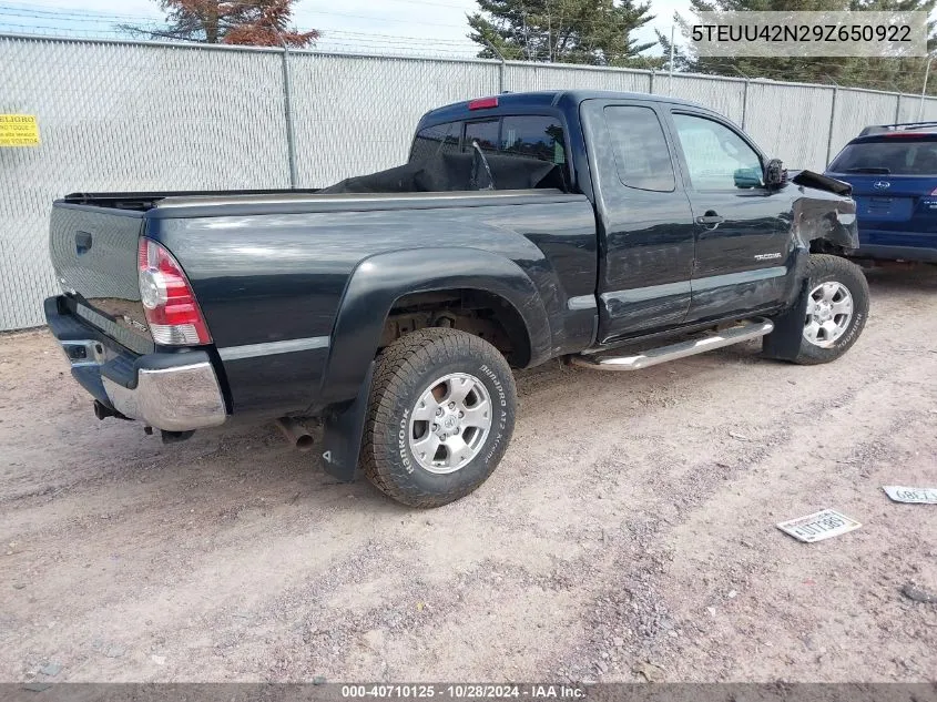 2009 Toyota Tacoma Base V6 VIN: 5TEUU42N29Z650922 Lot: 40710125