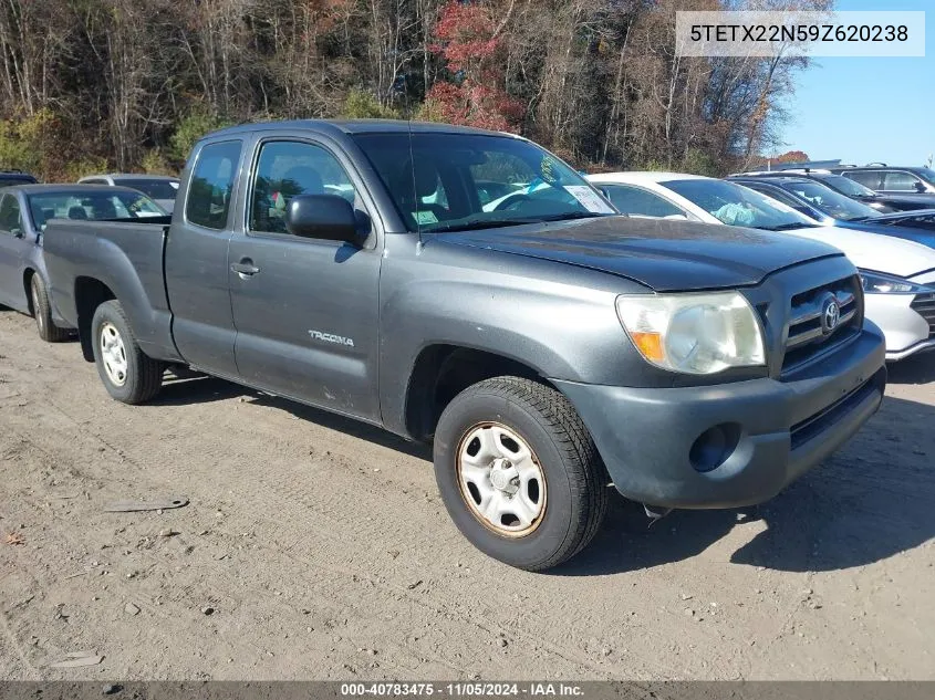 2009 Toyota Tacoma VIN: 5TETX22N59Z620238 Lot: 40783475