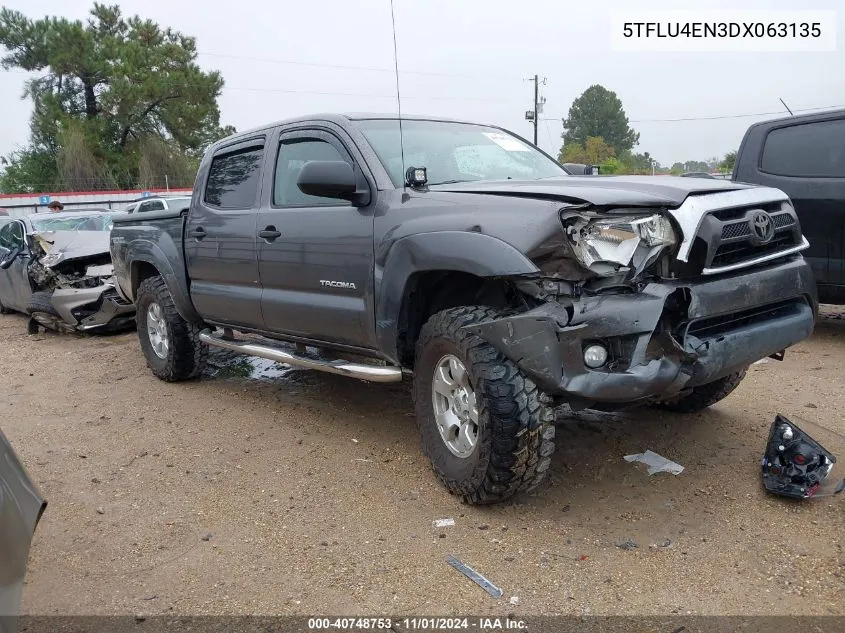 2013 Toyota Tacoma Double Cab VIN: 5TFLU4EN3DX063135 Lot: 40748753