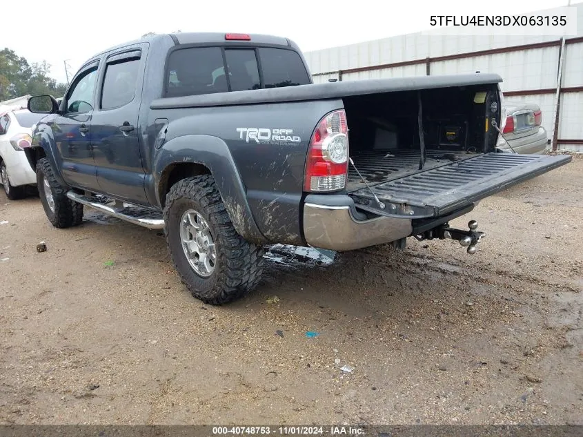 2013 Toyota Tacoma Double Cab VIN: 5TFLU4EN3DX063135 Lot: 40748753