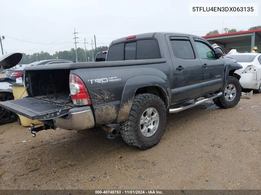 2013 Toyota Tacoma Double Cab VIN: 5TFLU4EN3DX063135 Lot: 40748753