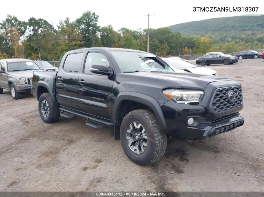 2020 Toyota Tacoma Double Cab/Sr/Sr5/Trd Spo VIN: 3TMCZ5AN9LM318307 Lot: 40333112