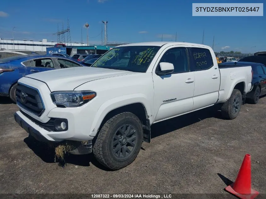 2023 Toyota Tacoma Double Cab/Sr5/Trd Sport/Trd Off Road VIN: 3TYDZ5BNXPT025447 Lot: 12087322