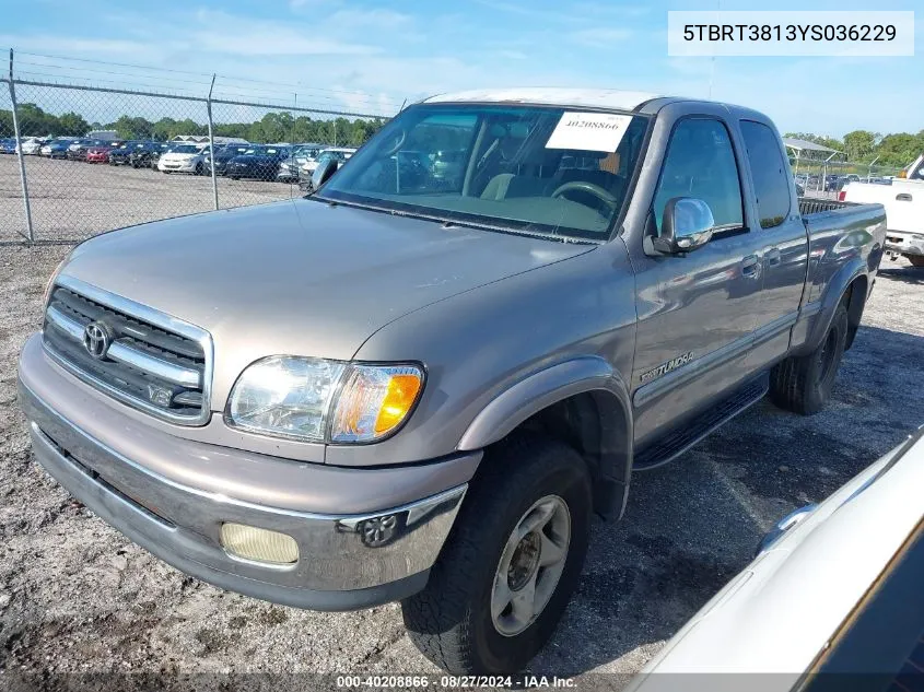 2000 Toyota Tundra Ltd V8 VIN: 5TBRT3813YS036229 Lot: 40208866