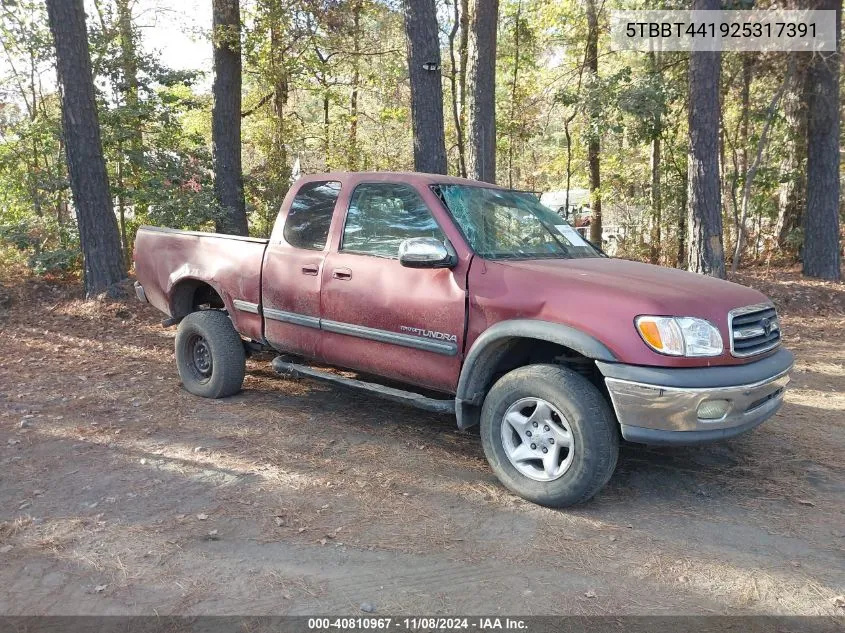 2002 Toyota Tundra Sr5 V8 VIN: 5TBBT441925317391 Lot: 40810967