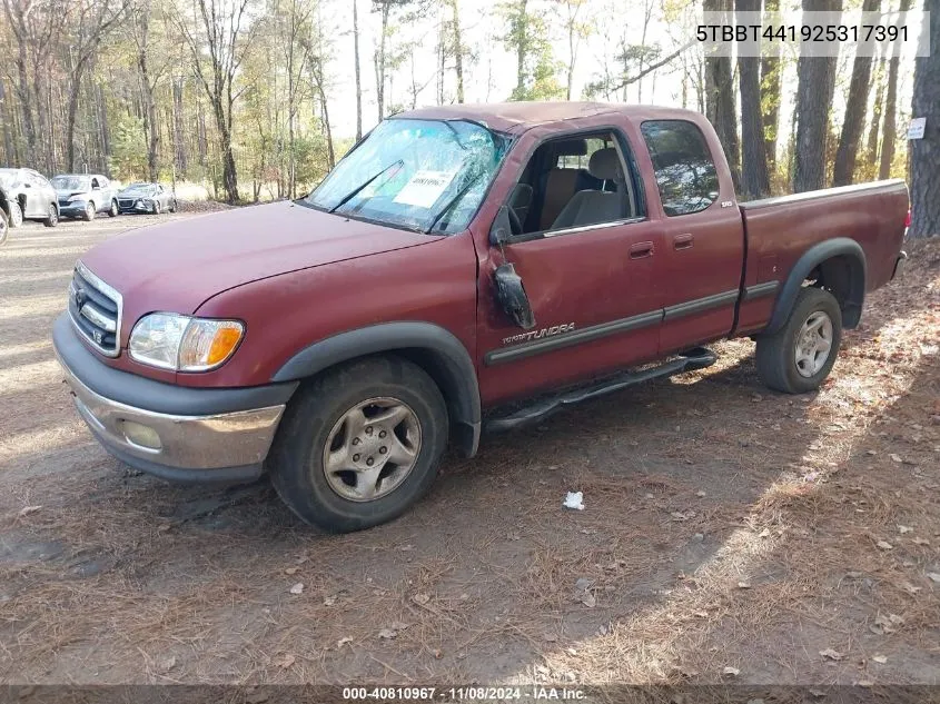 2002 Toyota Tundra Sr5 V8 VIN: 5TBBT441925317391 Lot: 40810967