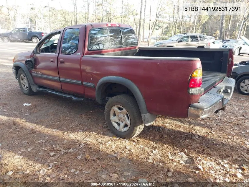 2002 Toyota Tundra Sr5 V8 VIN: 5TBBT441925317391 Lot: 40810967