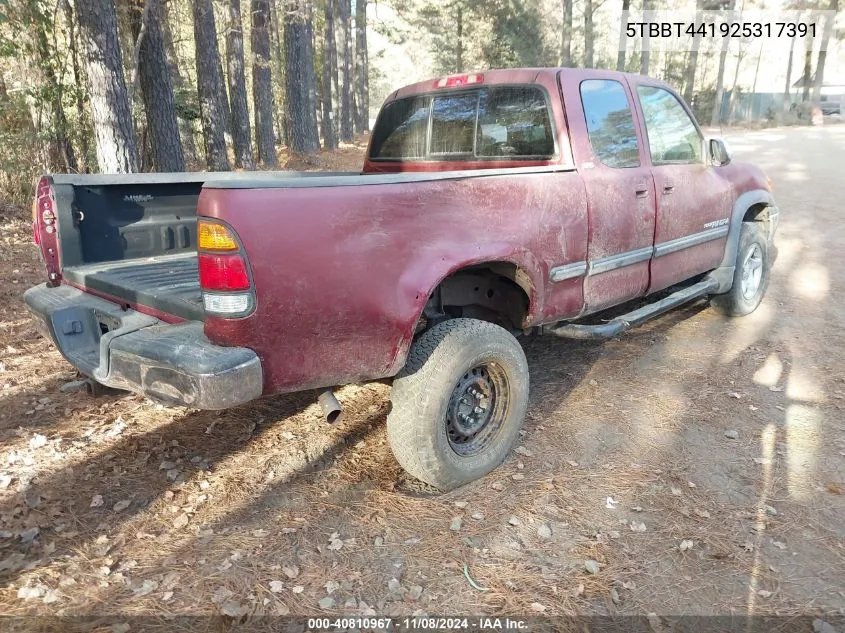 2002 Toyota Tundra Sr5 V8 VIN: 5TBBT441925317391 Lot: 40810967