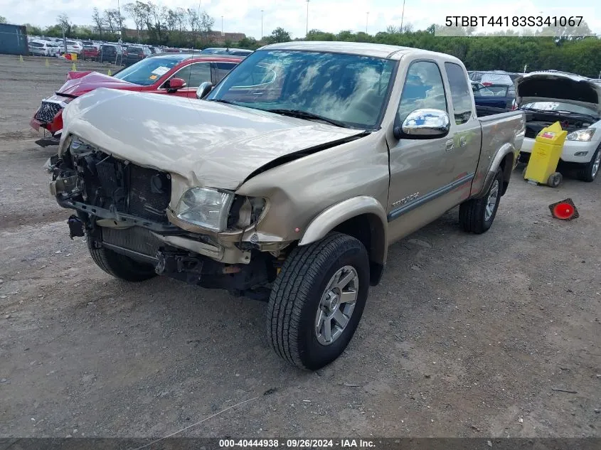 2003 Toyota Tundra Sr5 V8 VIN: 5TBBT44183S341067 Lot: 40444938