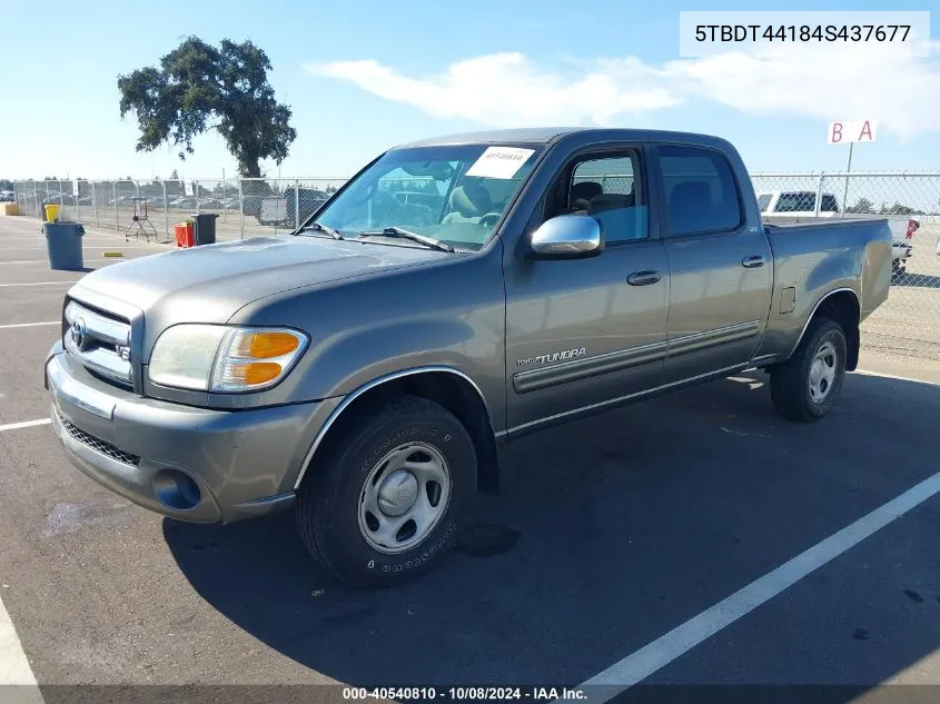 2004 Toyota Tundra Sr5 V8 VIN: 5TBDT44184S437677 Lot: 40540810