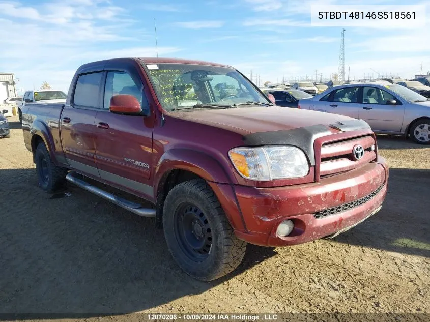 2006 Toyota Tundra Limited V8 VIN: 5TBDT48146S518561 Lot: 12070208