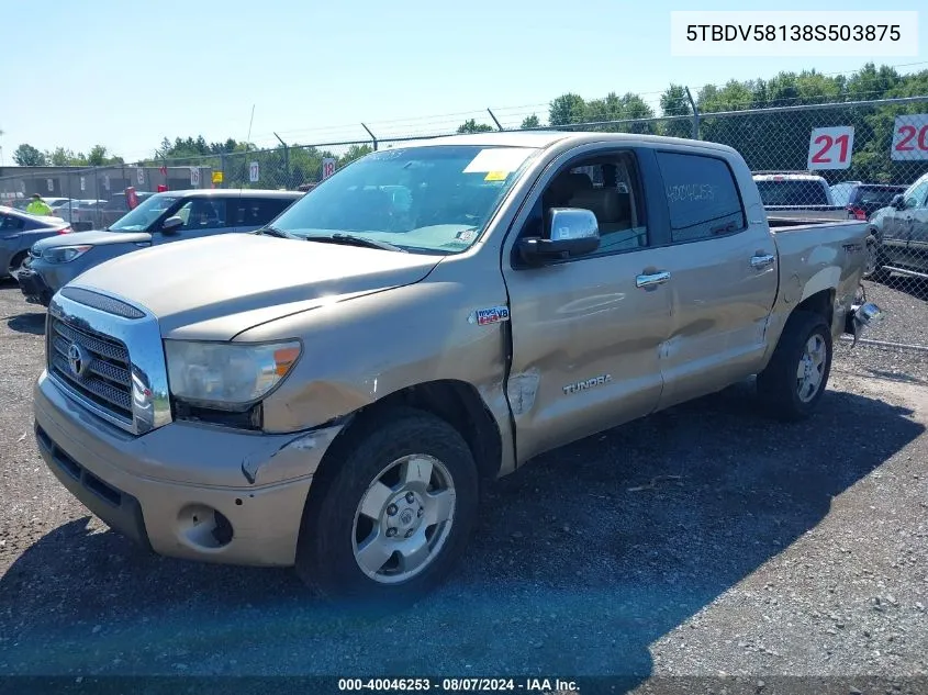 2008 Toyota Tundra Limited 5.7L V8 VIN: 5TBDV58138S503875 Lot: 40046253