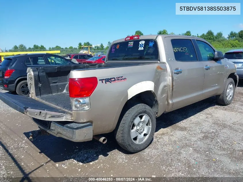 2008 Toyota Tundra Limited 5.7L V8 VIN: 5TBDV58138S503875 Lot: 40046253