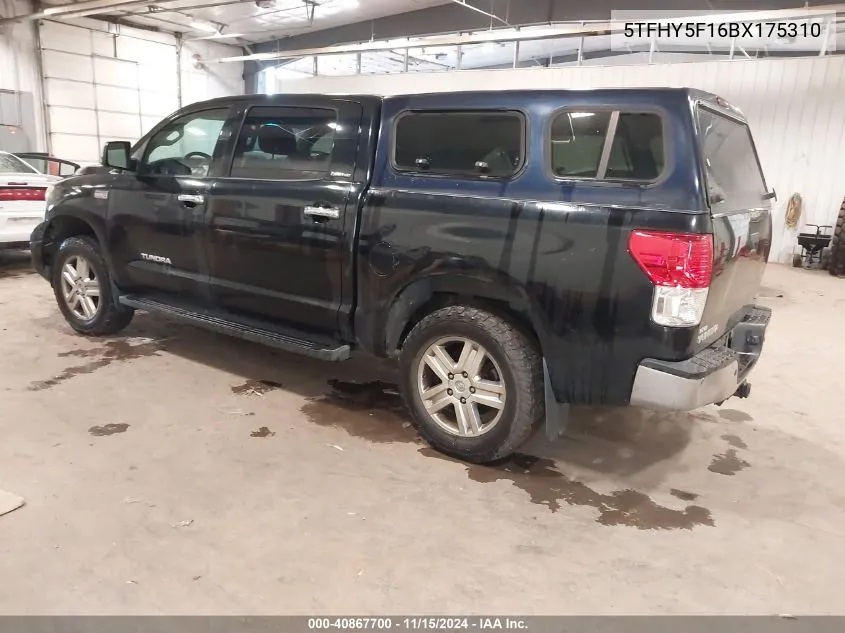 2011 Toyota Tundra Limited 5.7L V8 VIN: 5TFHY5F16BX175310 Lot: 40867700