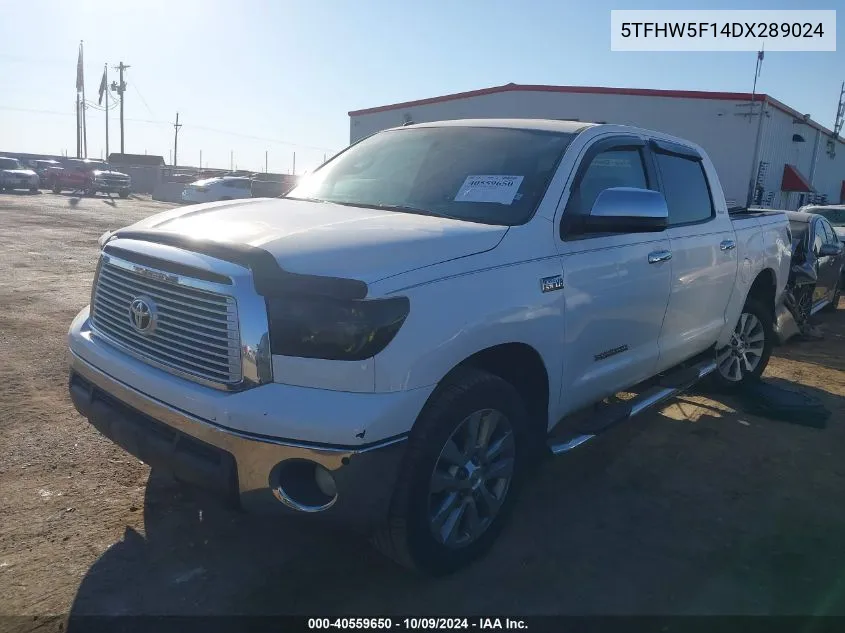 2013 Toyota Tundra Platinum 5.7L V8 VIN: 5TFHW5F14DX289024 Lot: 40559650