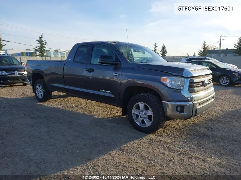 2014 Toyota Tundra Double Cab Sr/Double Cab Sr5 VIN: 5TFCY5F18EX017601 Lot: 12124952