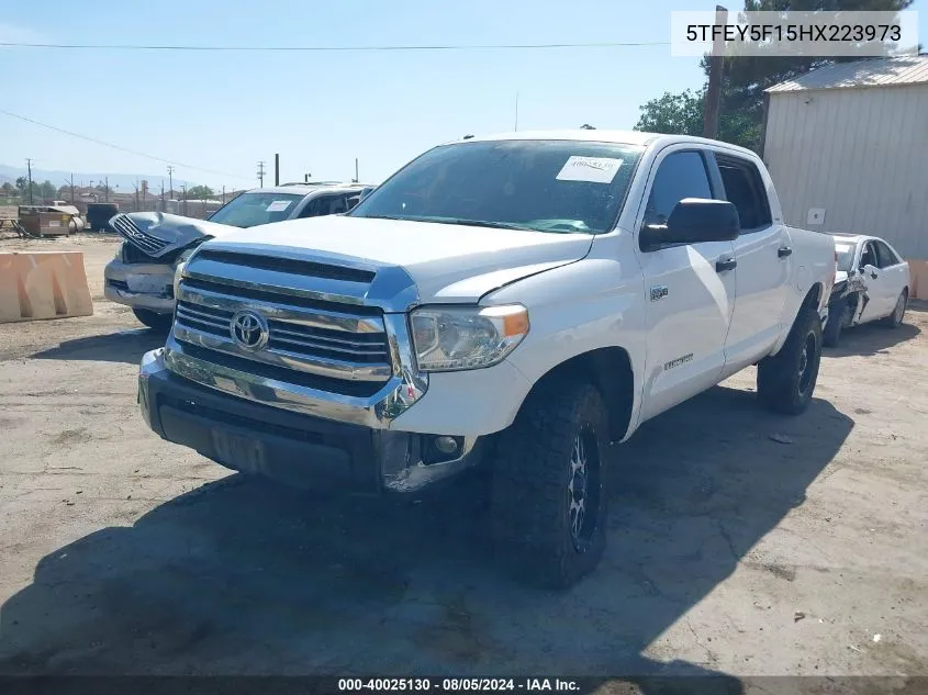 2017 Toyota Tundra Sr5 5.7L V8 VIN: 5TFEY5F15HX223973 Lot: 40025130