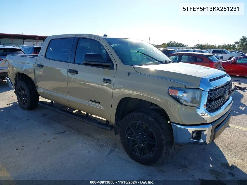 2019 Toyota Tundra Sr5 5.7L V8 VIN: 5TFEY5F13KX251231 Lot: 40813858