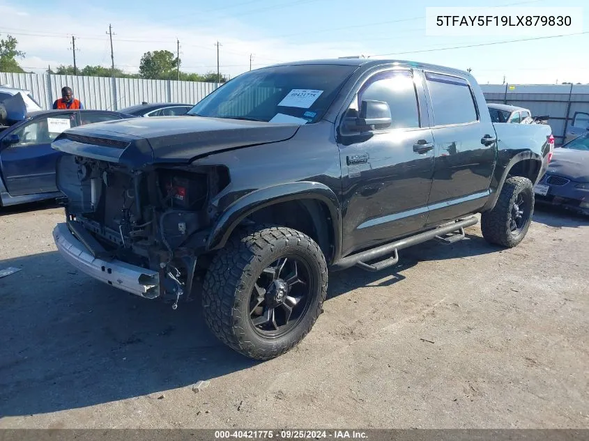 5TFAY5F19LX879830 2020 Toyota Tundra Platinum