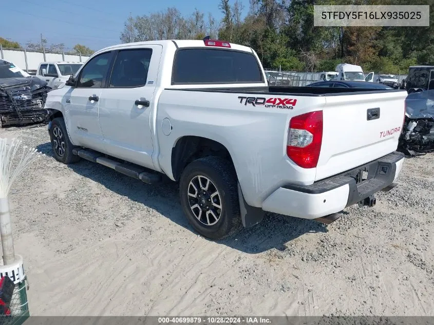 2020 Toyota Tundra Sr5 VIN: 5TFDY5F16LX935025 Lot: 40699879