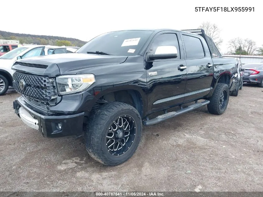 2020 Toyota Tundra Platinum VIN: 5TFAY5F18LX955991 Lot: 40787541