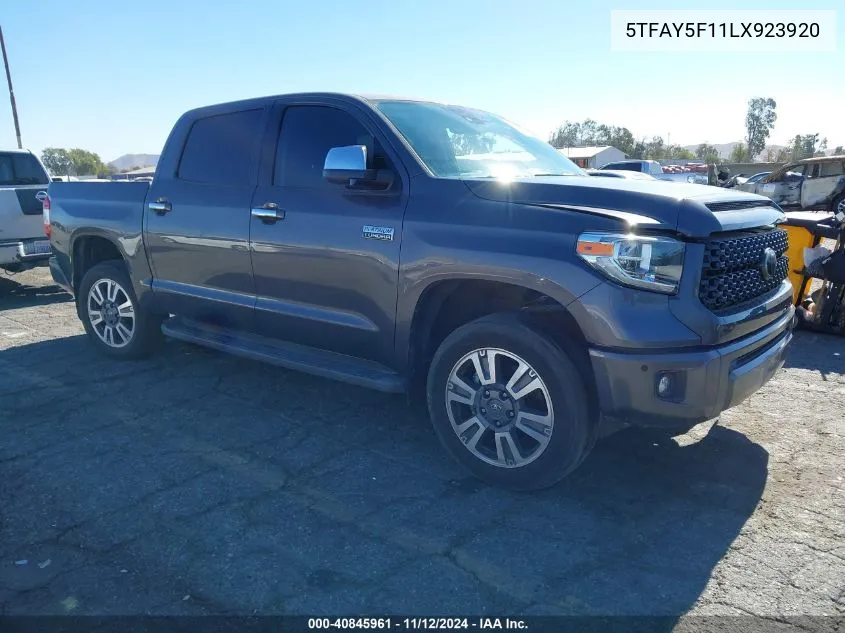 2020 Toyota Tundra Platinum VIN: 5TFAY5F11LX923920 Lot: 40845961