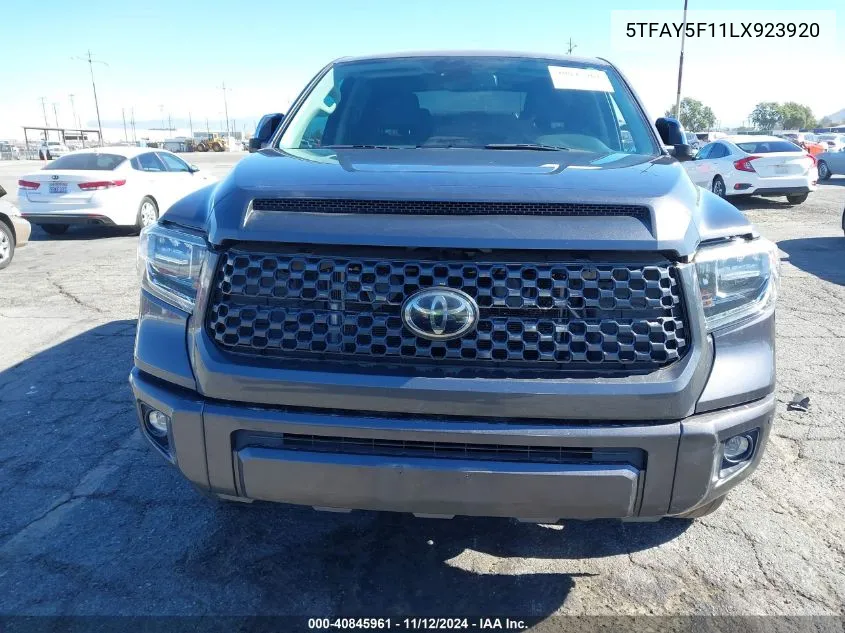 2020 Toyota Tundra Platinum VIN: 5TFAY5F11LX923920 Lot: 40845961