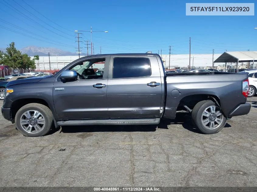 2020 Toyota Tundra Platinum VIN: 5TFAY5F11LX923920 Lot: 40845961