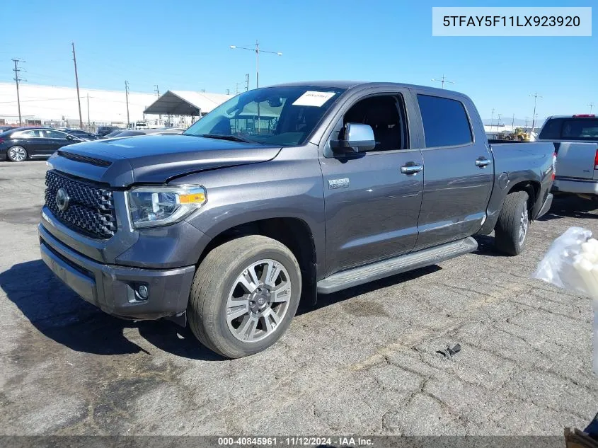 2020 Toyota Tundra Platinum VIN: 5TFAY5F11LX923920 Lot: 40845961