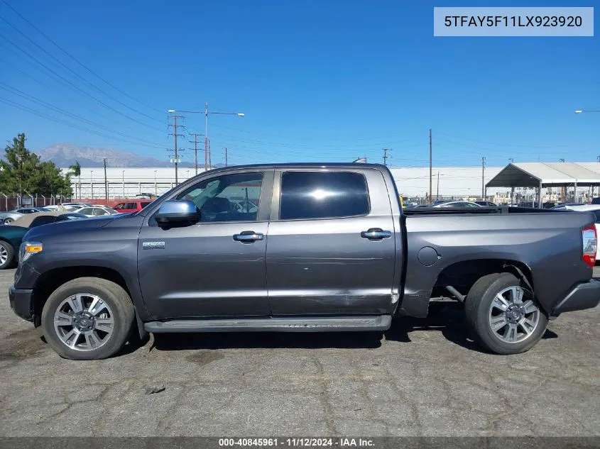 2020 Toyota Tundra Platinum VIN: 5TFAY5F11LX923920 Lot: 40845961