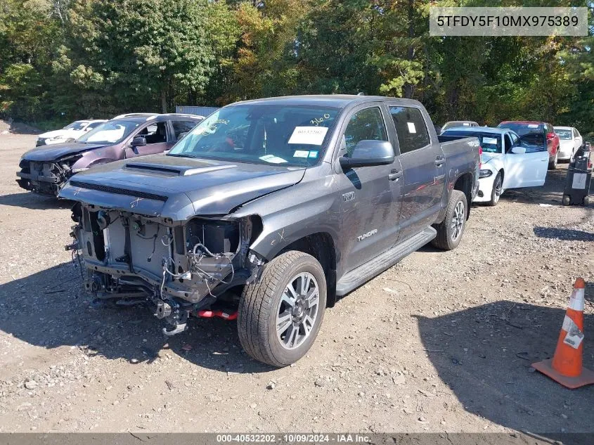 5TFDY5F10MX975389 2021 Toyota Tundra Sr5