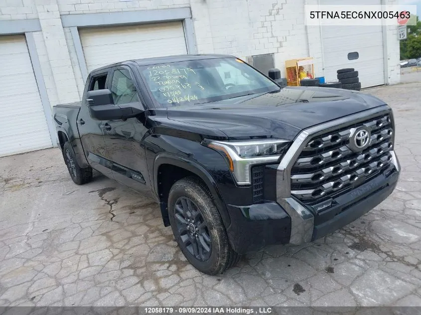 2022 Toyota Tundra Platinum VIN: 5TFNA5EC6NX005463 Lot: 12058179