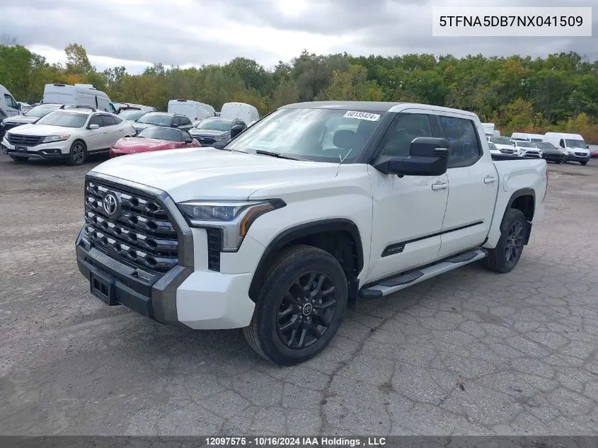 2022 Toyota Tundra Platinum VIN: 5TFNA5DB7NX041509 Lot: 12097575