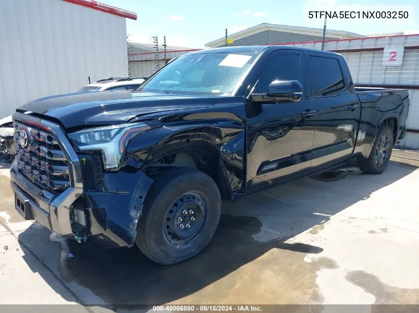 2022 Toyota Tundra Platinum VIN: 5TFNA5EC1NX003250 Lot: 40086880