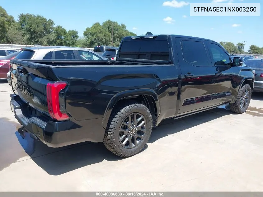 2022 Toyota Tundra Platinum VIN: 5TFNA5EC1NX003250 Lot: 40086880