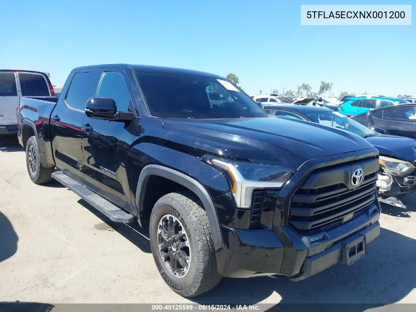 2022 Toyota Tundra Sr5 VIN: 5TFLA5ECXNX001200 Lot: 40125599